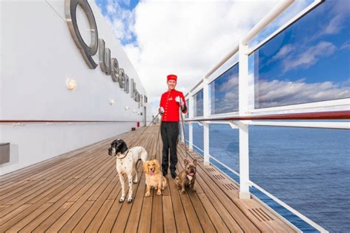 Are dogs allowed on cruise ships?
