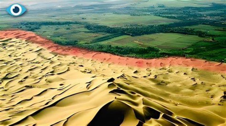 Can deserts be turned into forests?