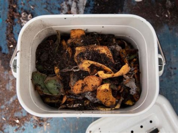 Can I put moldy vegetables in my compost?