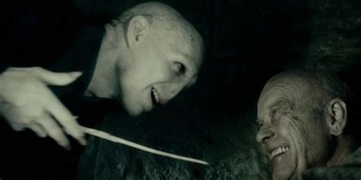 Did Grindelwald and Voldemort meet?