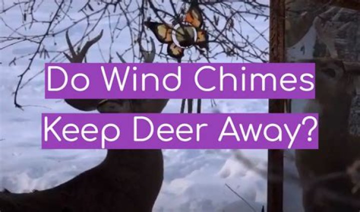 Do wind chimes keep deer away?