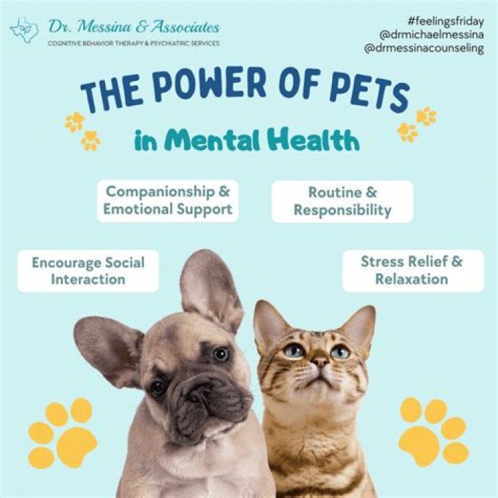 Does my dog have mental issues?