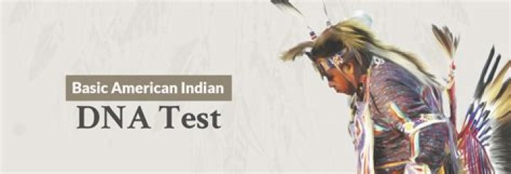 How accurate are DNA tests for Native American ancestry?