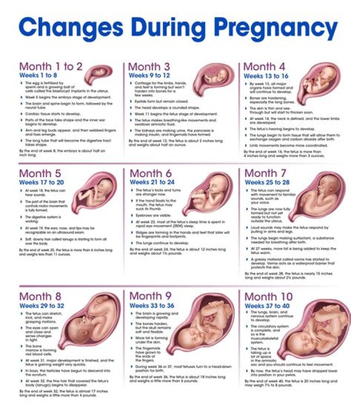 How can I bend during pregnancy?