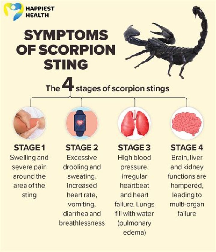 How do I keep scorpions off my bed?