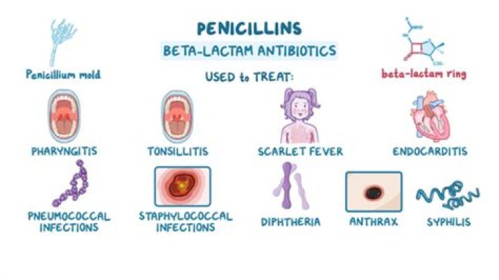 How much penicillin do you take for syphilis?