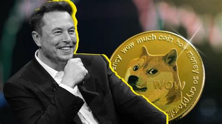 Is Elon Musk still holding Dogecoin?