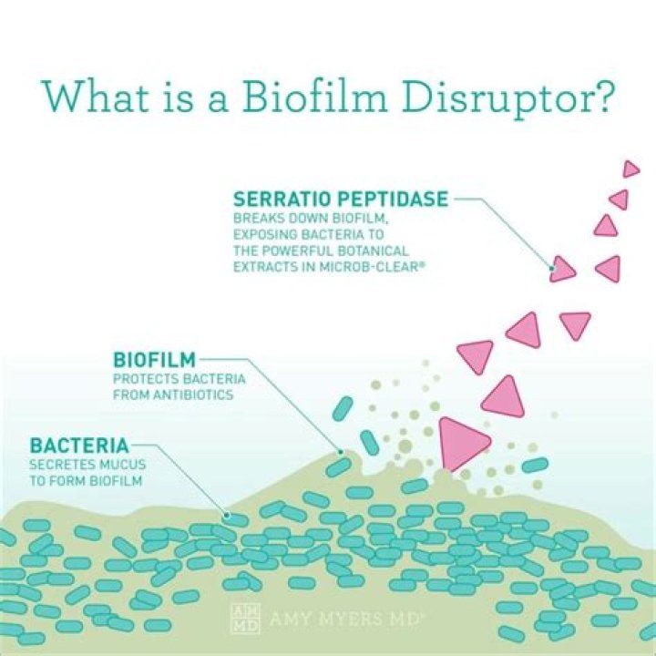 Is garlic a biofilm disruptor?