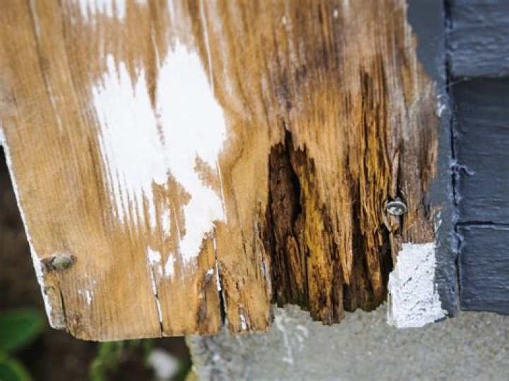 Is it OK to burn rotted wood?