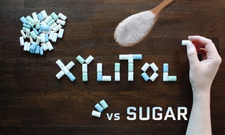Is xylitol a healthy alternative to sugar?