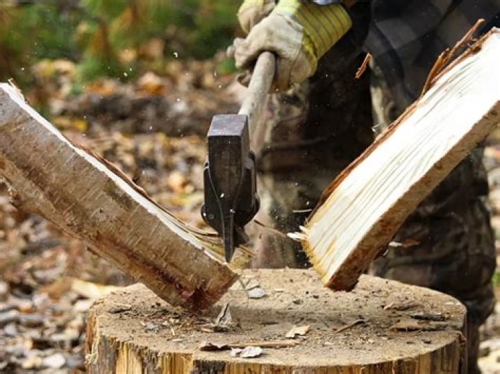 Should you split wood before seasoning?