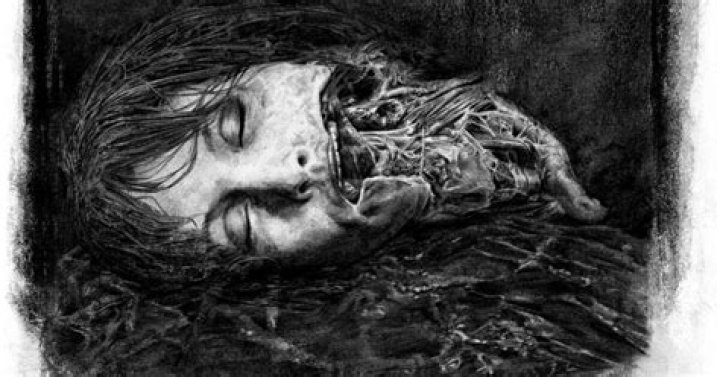 What did David do to Elizabeth Shaw?