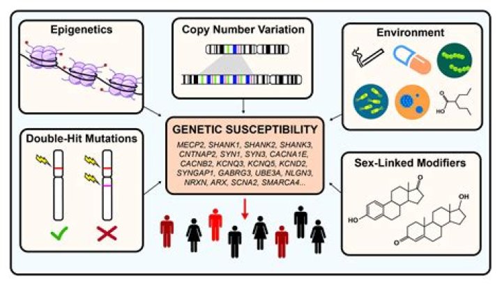 What gene causes autism?