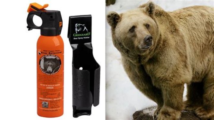 What is a good bear deterrent?