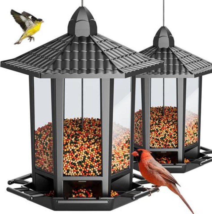 What is emptying my bird feeder at night?